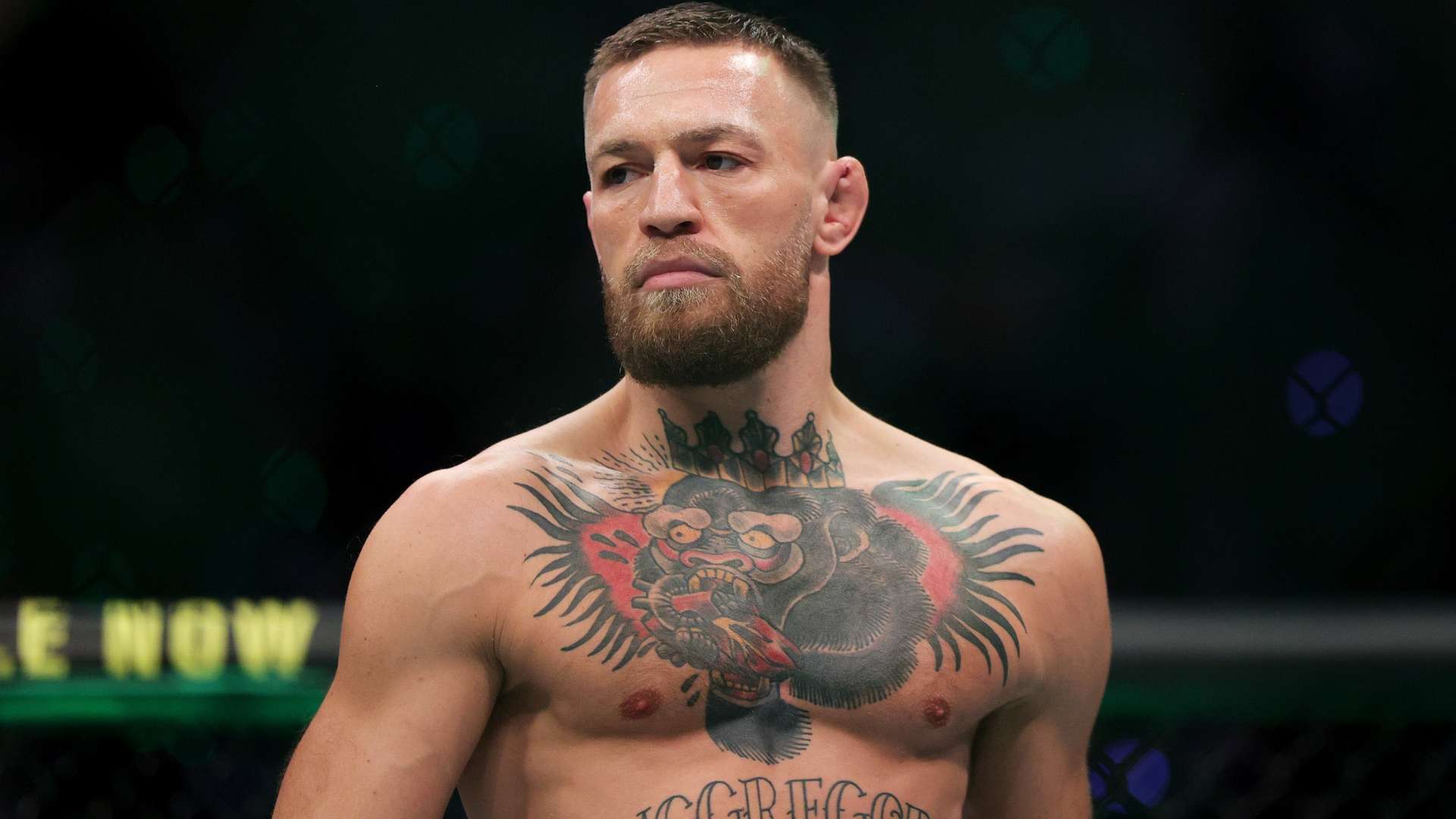 哈维需要在 哈维需要在